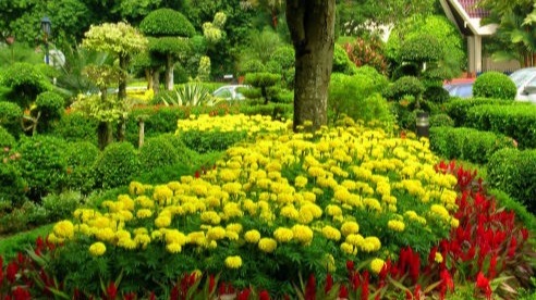 paisajismo BIOJAL